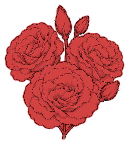 Lisianthus – double – rouge