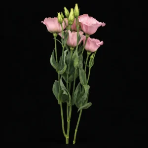 product 284 01m3wd93zqw00eaqhqmc8x2egj processed